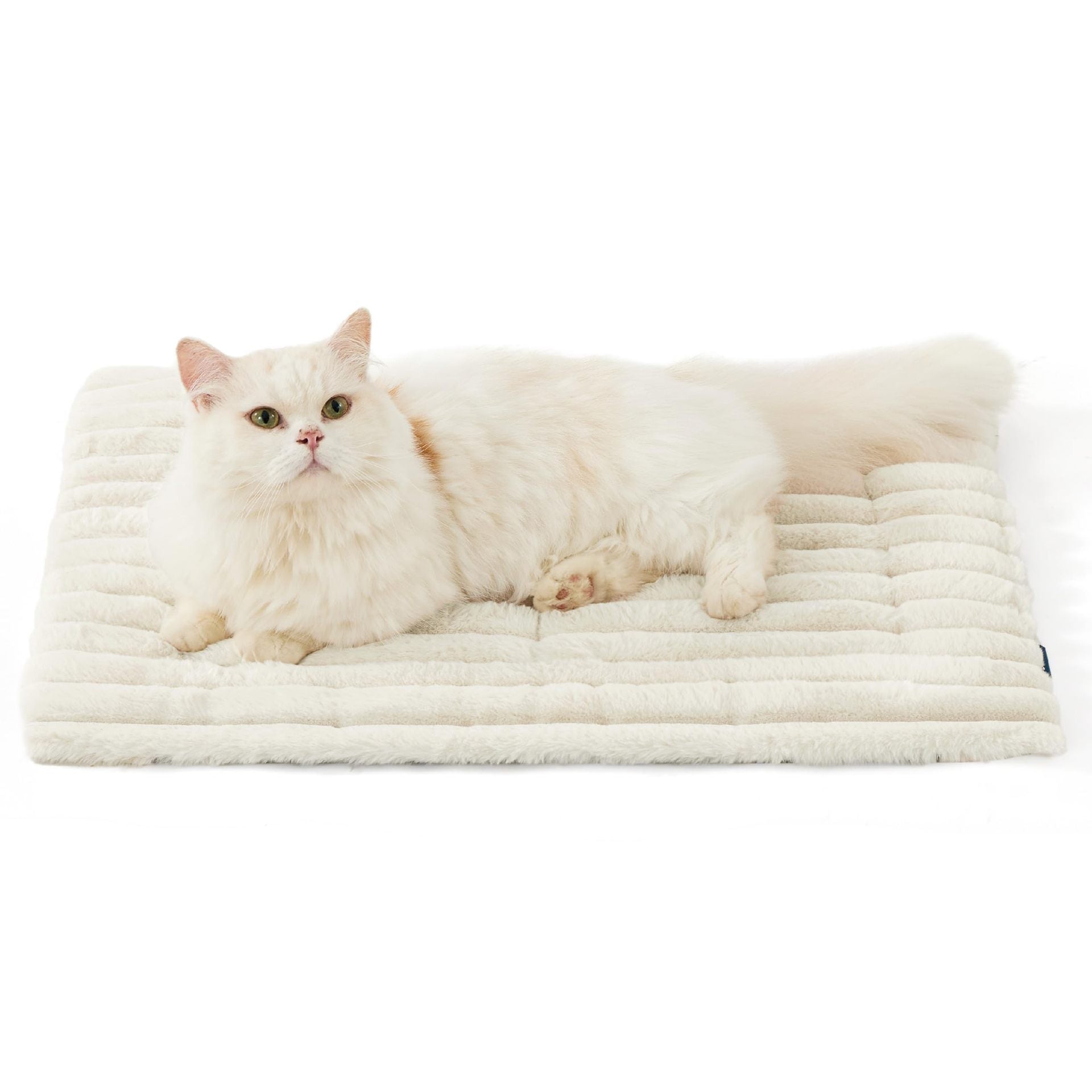 Self-warming pet mat, corduroy fleece, cat resting