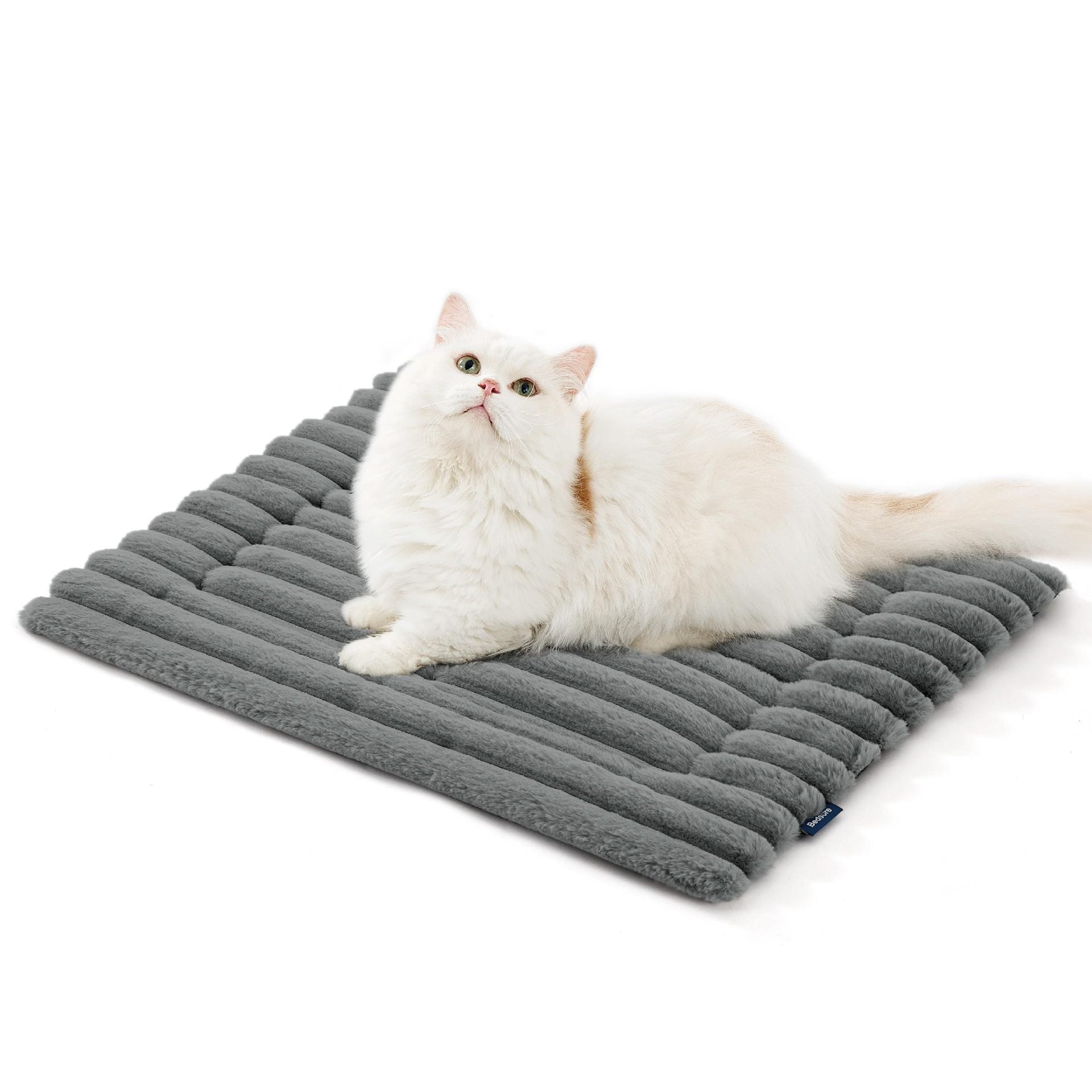 Grey self-warming cat mat, studio
