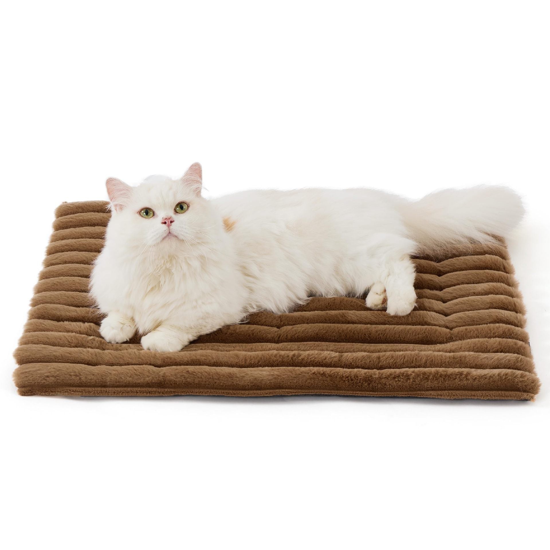 Self-warming pet mat in brown, cat resting