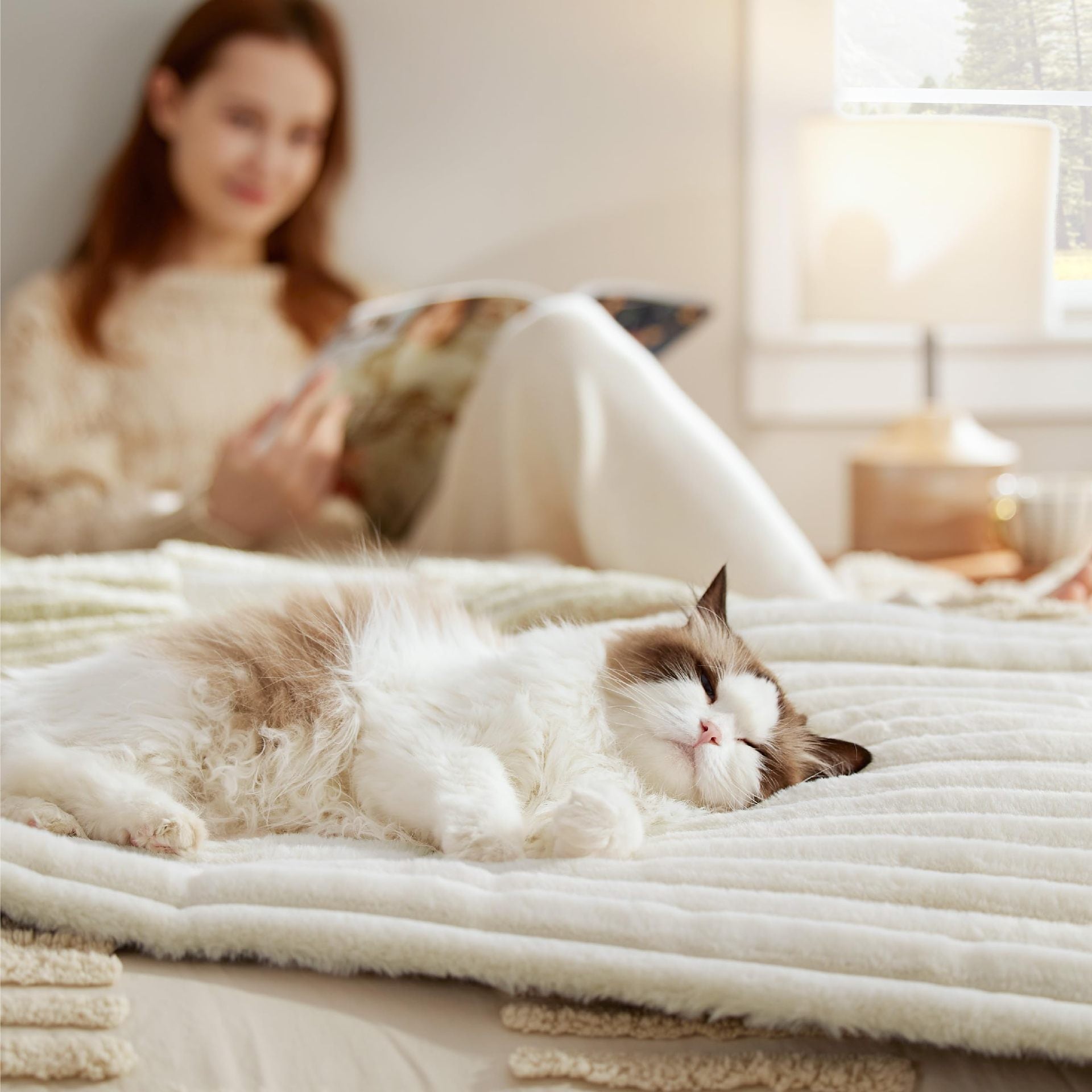 Cat asleep on cream mat, owner reading